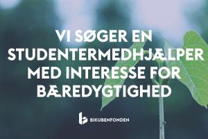 studentermedhjælper bæredygtighed
