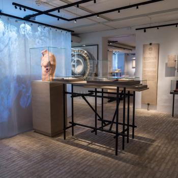 Medicinsk Museion er vinder af Udstillingsprisen Vision 2015 med udstillingen 'Mind the Gut'. Foto: Medicinsk Museion